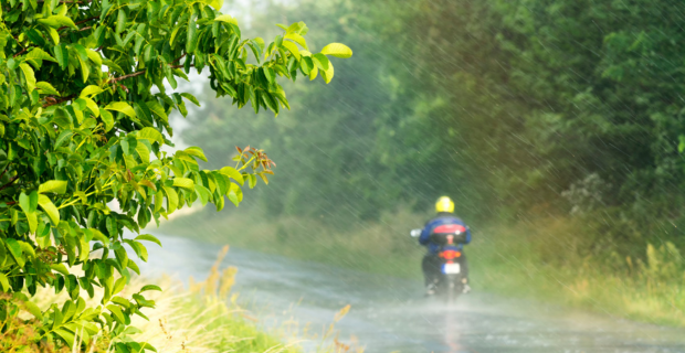 A person driving a motorcycle through a road surrounded by trees on a rainy summer day.