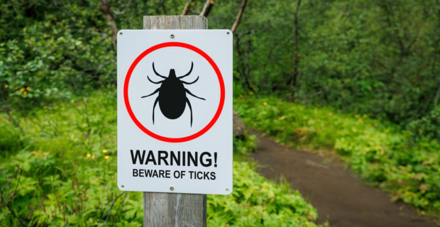 A sign stands in front of a wooded area and reads “Warning! Beware of Ticks” under am image of a tick in a red circle. 