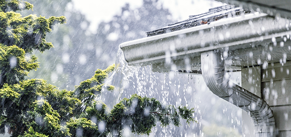 Heavy rainfall causes water to spill from a house’s gutters, cascading off the roof and soaking nearby foliage.