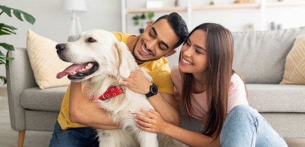 A man and a woman giving hugs and pets a dog