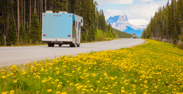 An RV driving on a highway in Alberta on a sunny spring day. On each side there are tall trees and grass covered with bright yellow dandelions. The RV is driving towards mountains.